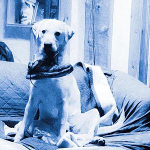 winter blue (summer) demo