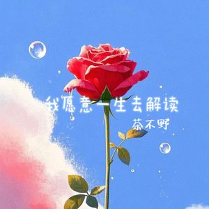 我愿意一生去解读