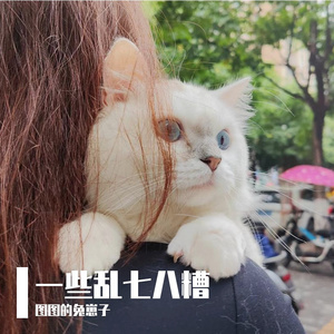 苏三世-云与海（图图的兔崽子 remix）