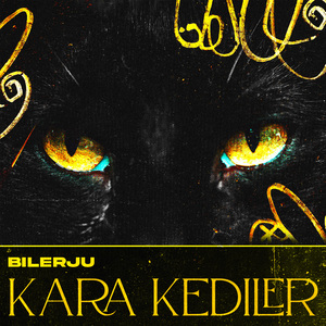 Kara Kediler
