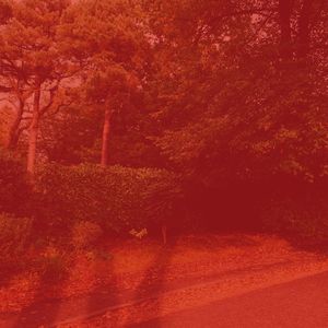 诗意的放松节奏