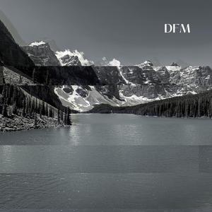 DFM (radio edit) (radio edit)