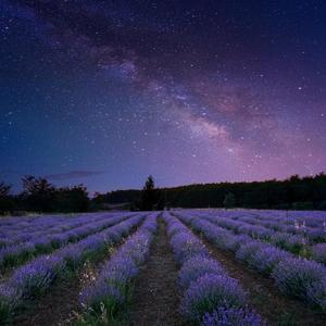 Airpods (feat. Warheart & Kakurokun)