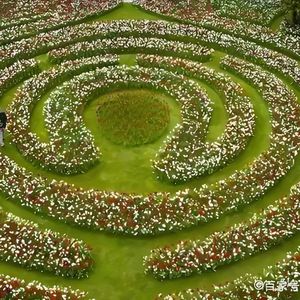 阳光正好的十八岁