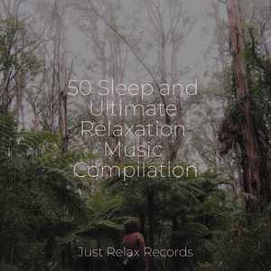 Purrfect Pounce Party