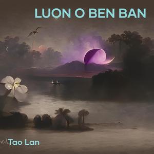 TINH BAN VO TAN