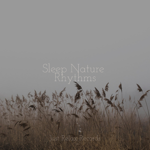 Melancholy's Solitude