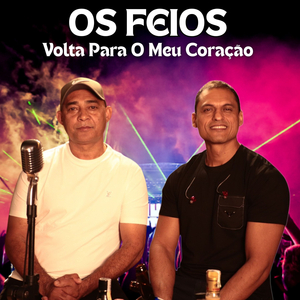 Volta para o Meu Coração