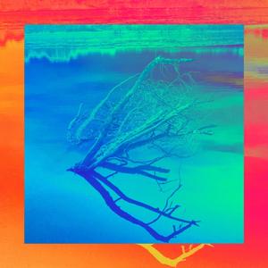 slightly illegal medical experiments involving big amounts of catnip and cats (oh no! the cops found the psychoactive mold plantation!)