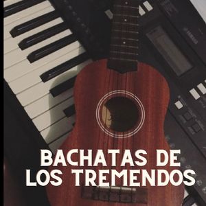 Un Mechon de Tus Cabellos