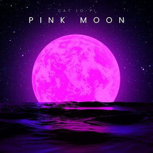 Pink Moon