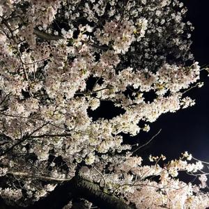 大天蓬（男声伤感版）