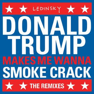 DonaldTrumpMakesMeWannaSmokeCrack (Petals Remix)