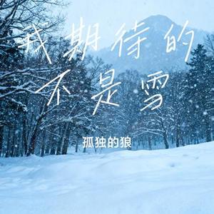 我期待的不是雪 (Cover 向北)