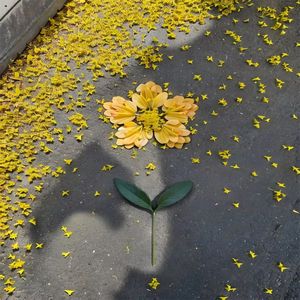 一而再再而三的伤害