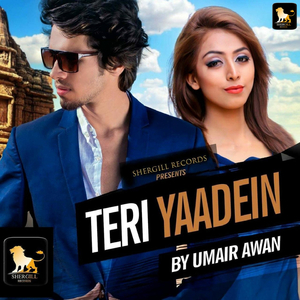 Teri Yaadeinn