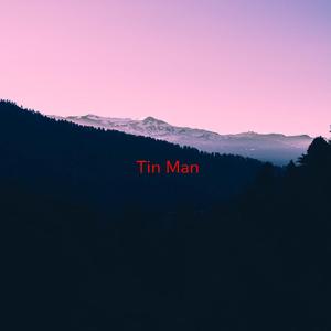 Tin Man (Complete version originally performed by Miranda Lambert)