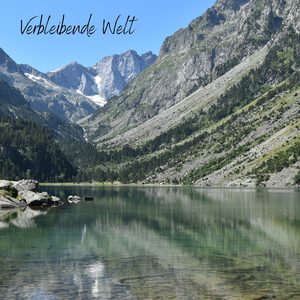 Ohne Raum fuer Zweifel