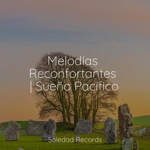 Un Paseo Por La Playa