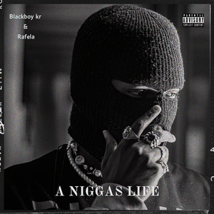 A Niggas Life