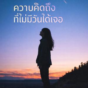ความคิดถึงที่ไม่มีวันได้เจอ