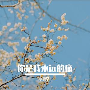 你是我永远的痛