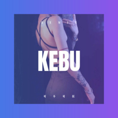 我想和你一起去海边 (Remix)