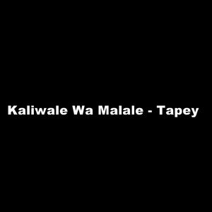 Kaliwale Wa Malale - Tapey