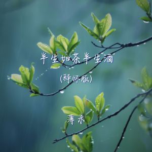 半生如茶半生酒（释怀版）