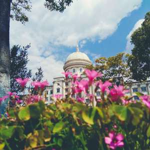 女声独唱 我们之间Live