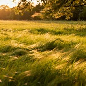 爱的开头总是满心欢喜