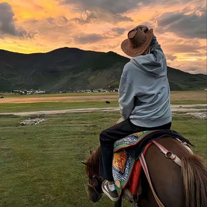朝思暮想一场空