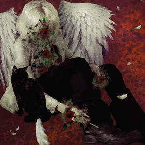 ложные выводы