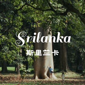 Morning Over Kandy Lake