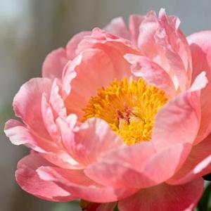 空中怪车事件 (Cover 陈楚生)