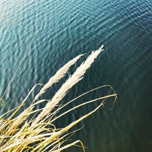 西昌谣_作词：王萍（歌词已获版权登记）_作曲、演唱：AI.wav