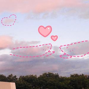 The bird of wilderness（Prod.by FakeBlood)