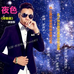 夜色 (终极版 DJcandy MiX)