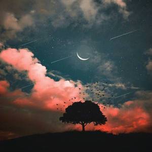 张雨生-口是心非（E. ek remix）