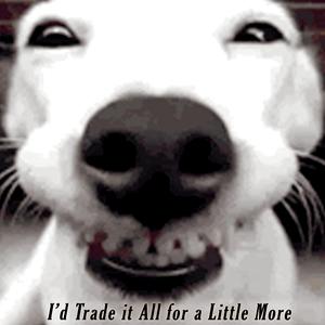 Fair and Tender Ladies