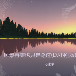 风景再美也只是路过 (DJ小刚广场舞版)
