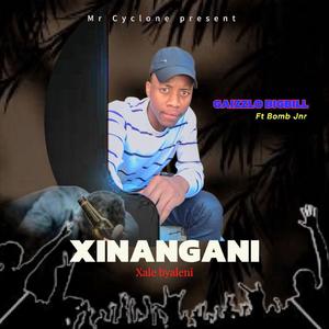 Xinangani xale byaleni