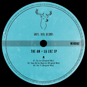 La Luz (Original Mix)