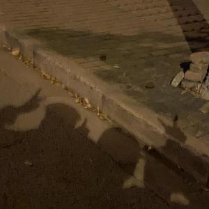 Bitter Pill (Cover:urbanation)