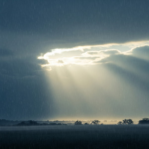 愛は雨よりやさしく