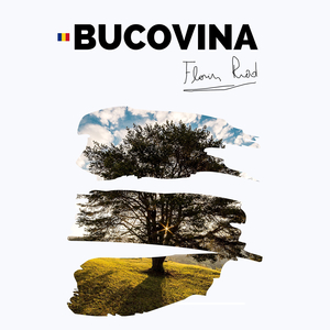 Bucovina