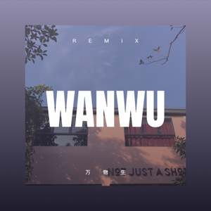 有一种爱叫犯贱 (Remix)