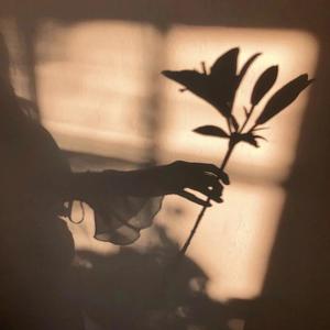 1_河滨路2号_221458_track0_221458