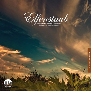 Caution You (Vox Mix) [Feat. Wayne Tennant]