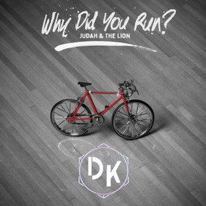 Why Did You Run (Deekrai Remix)
